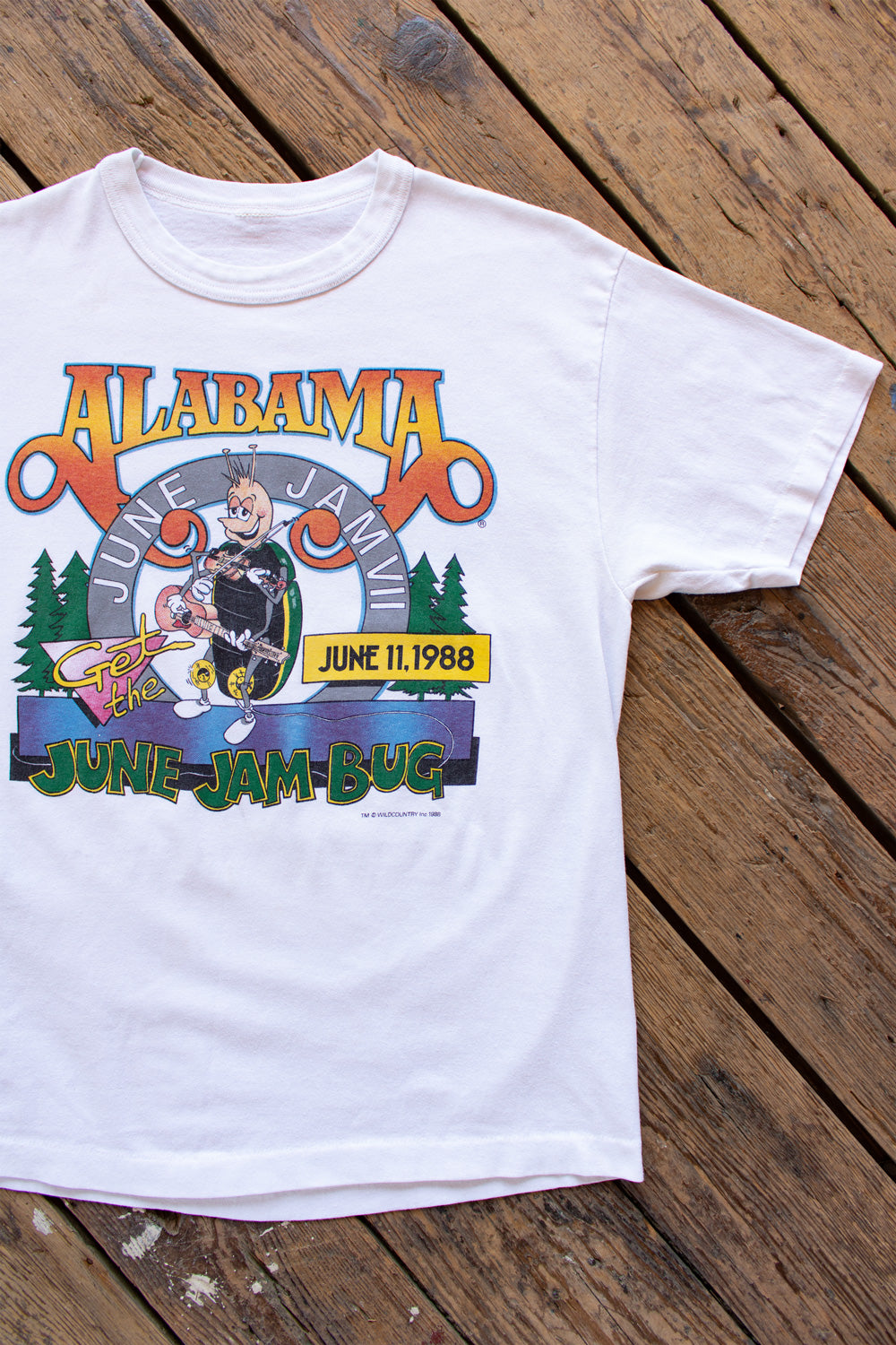 Vintage 1988 Alabama June Jammer Band Tee - Medium – Tall